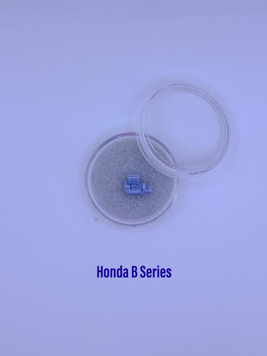 Honda B Series